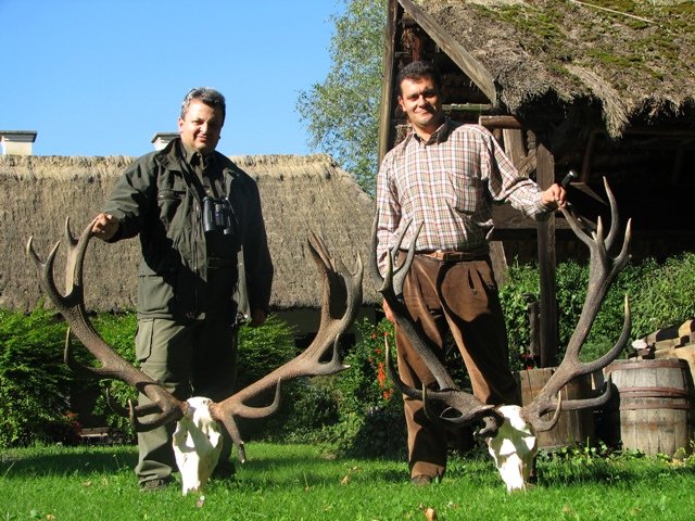 phoca_thumb_l_deer_hr_7